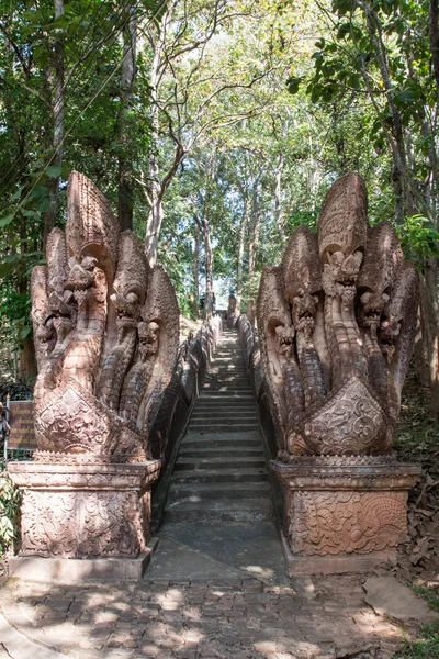 Naga socha, buddhistické drak — Stock fotografie