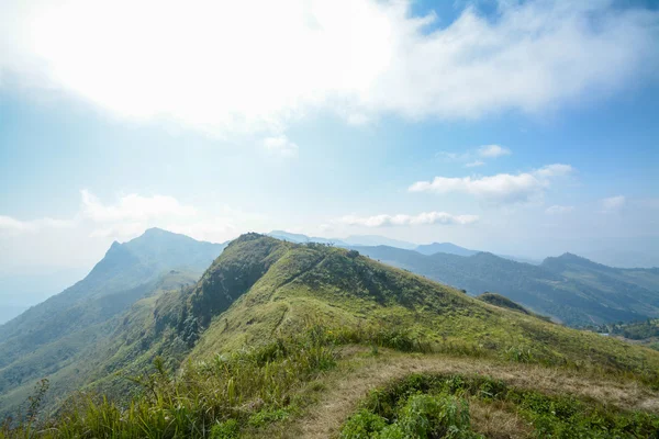 Pha tung mountain, chiang rai, Thailand — Stockfoto