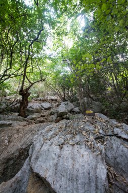Geçit dağlarda, Samroiyod ulus park, Tayland.