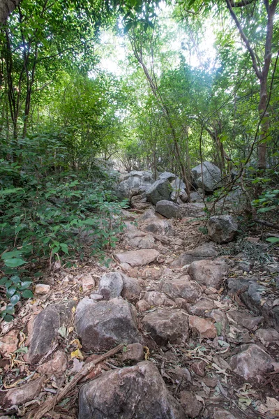 Walkway in Mountains ,Samroiyod nation park, Thailand. — Stock Photo, Image