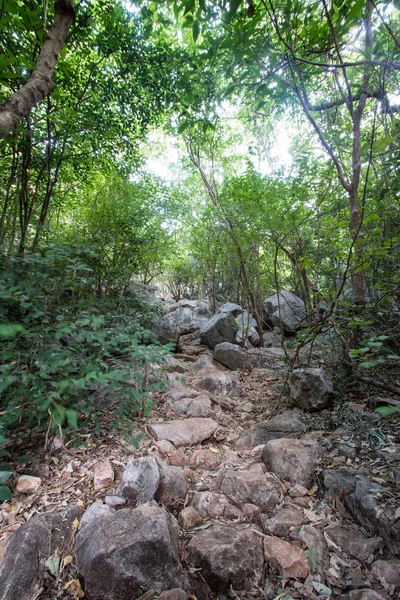 Walkway in Mountains ,Samroiyod nation park, Thailand. — Stock Photo, Image