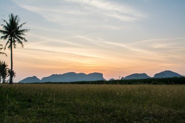 Samroiyod ulus park, Pranburi, Prachuap Khiri Khan, Tayland under çimen