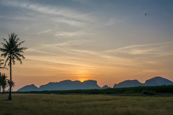 Tráva v Samroiyod národ parku, Pranburi, Prachuap Khiri Khan, Thajsko — Stock fotografie