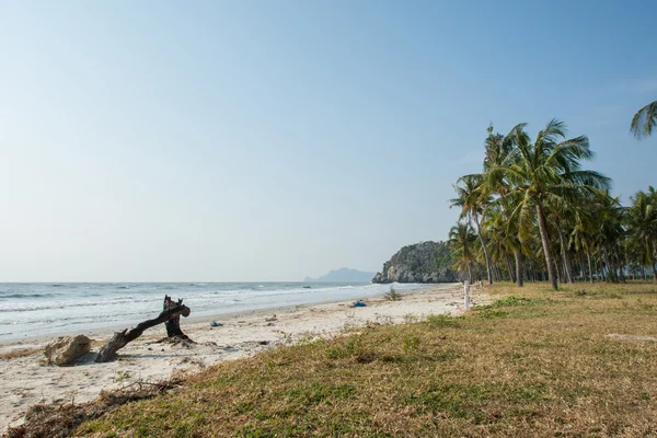 Seegurken auf dem Sand mit Meereswogen — Stockfoto