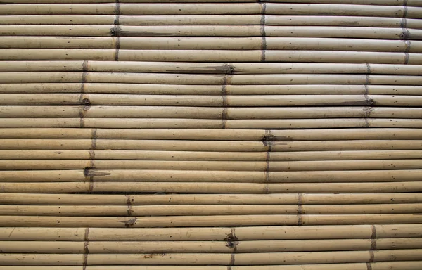 Bamboo wall texture background — Stock Photo, Image