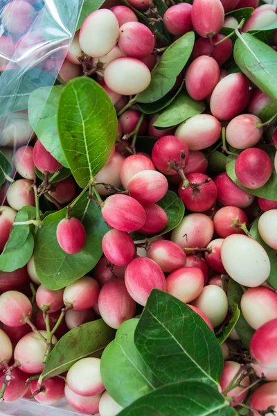 Carunda, Karonda fruite —  Fotos de Stock