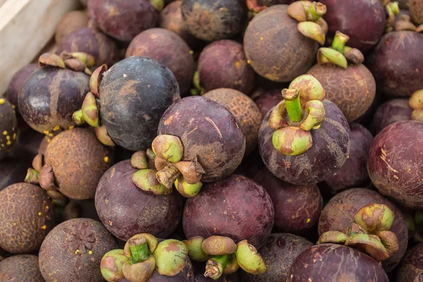 Mangosteen of Thailand — Stock Photo, Image