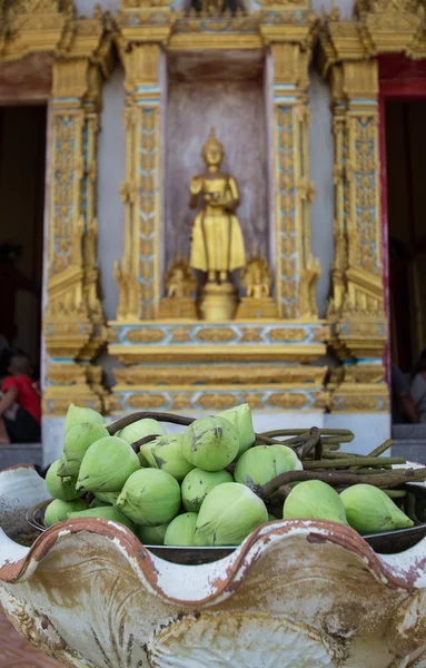 Bud green lotus with buddha statue background, flower of buddhist — Stock Photo, Image