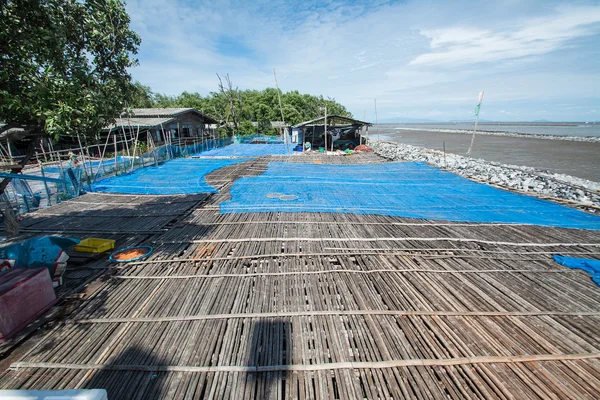Bamboo floor in the place for making Shrimp paste under the sun, Thail  agriculture — Stock Photo, Image