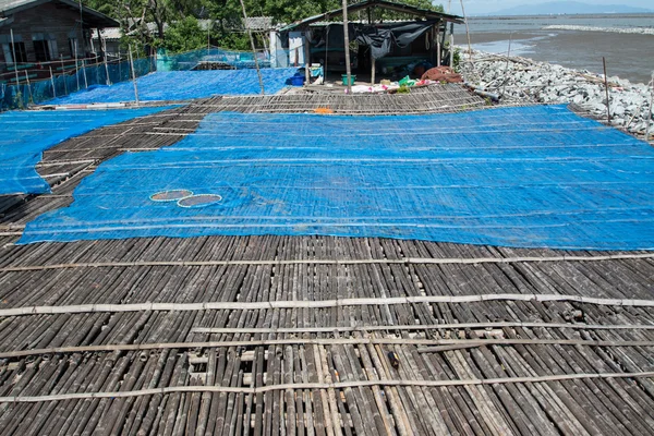 Bamboo floor in the place for making Shrimp paste under the sun, Thail  agriculture — Stock Photo, Image