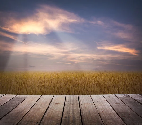 Träterrass med gyllene gräs och solnedgång himlen — Stockfoto