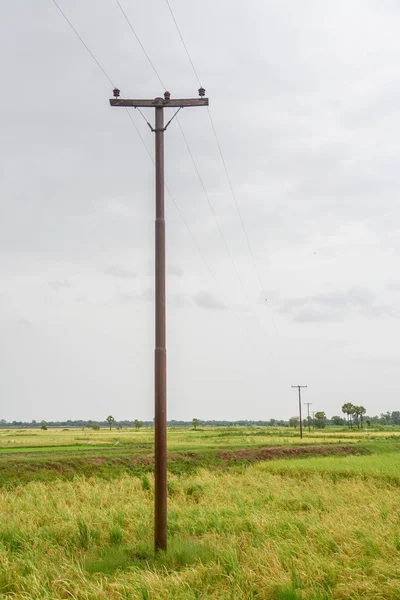 Elektrik direkleri Mandalay, Myanmar içinde eğe pirinç