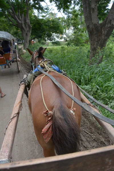 Transporte de pasajeros y el transporte de suministros de la carretera local corre a lo largo de un pueblo en la antigua ciudad de Inwa, Mandalay, Myanmar. Transporte de pasajeros y el transporte de suministros de la carretera local corre a lo largo de un pueblo en la antigua ciudad de Inwa, Mandalay, Myanmar . —  Fotos de Stock
