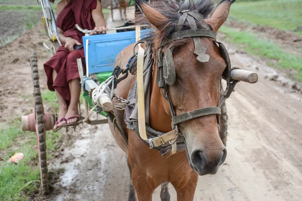 Transport av passagerare och bokförda leveranser den lokala vägen löper längs till en by i Inwa gamla stad, Mandalay, Myanmar.carriage av passagerare och bokförda leveranser den lokala vägen löper längs till en by i Inwa gamla stad, Mandalay, Myanmar. — Stockfoto