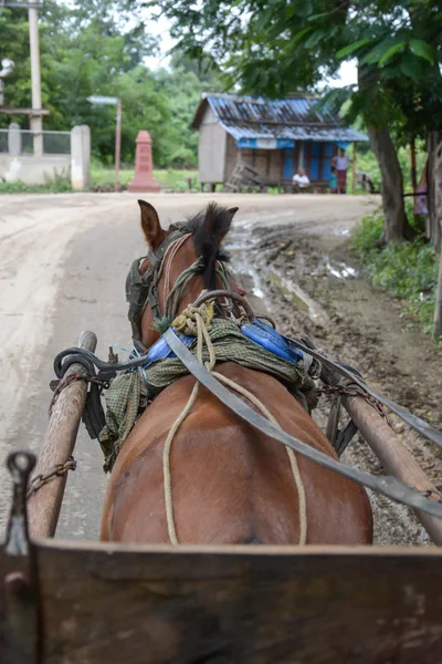 Inwa, Myanmar-Temmuz 31,2015: Tanımlanamayan taşıma yolcu ve taşıma malzemeleri yerel yolun bir köye Temmuz'da 31,2015 içinde Inwa antik kent, Mandalay devlet orta Myanmar çalışır.
