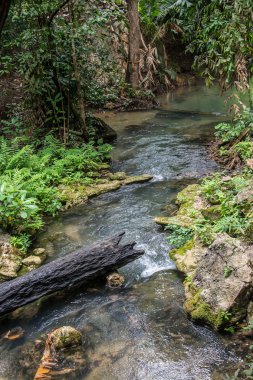 Sai Yok şelale Milli Park, Kanchanaburi, Tayland.