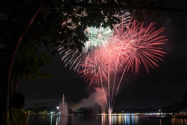 Fuochi d'artificio in Thailandia parco suanloung il 5 dicembre 2015, festa del papà . — Foto Stock