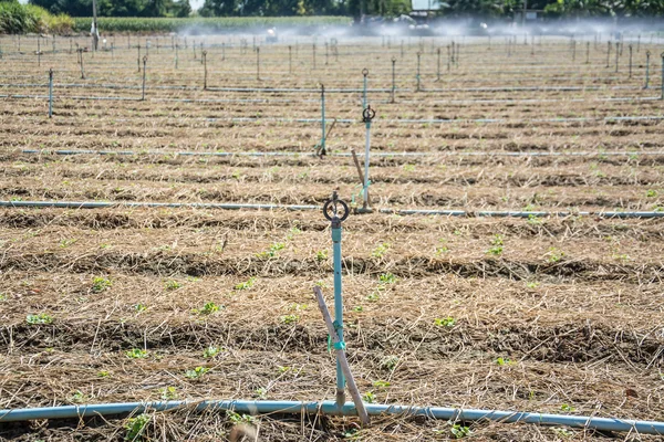 Sistem irigasi di tanah pertanian — Stok Foto