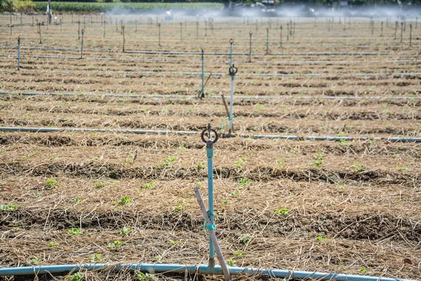 Sistem irigasi di tanah pertanian — Stok Foto