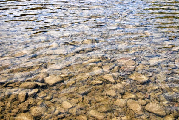 Bottom of the sea Natural background — Stock Photo, Image