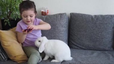 Gülümseyen küçük kız oynuyor, sarılıyor ve kuru bir havucu besliyor.