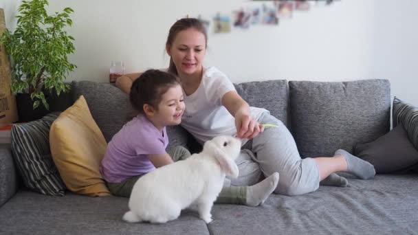 Glückliche Familienmutter und kleines Mädchen füttern Zuckerbrot vom weißen Kaninchen. — Stockvideo
