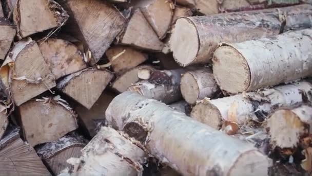 Los troncos cortados y aserrados de los árboles se apilan en una gran pila de leña en la habitación. — Vídeos de Stock