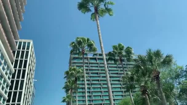 Driving through business city downtown with modern houses, skyscrapers, contemporary office buildings and big residential block of flats with lush palm trees on sidewalk in sunny Tampa, Florida, USA — Stock Video