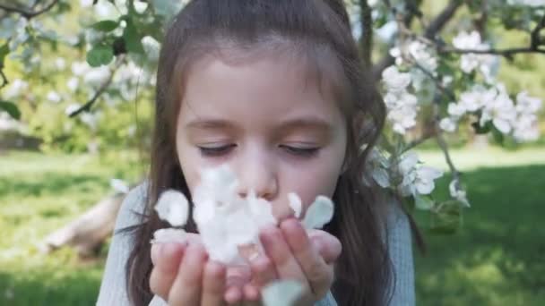 茶色い髪の女の子のクローズアップ肖像画は白いリンゴの木の花の花びらを吹いて、笑顔とカメラを見ています。春の庭で幸せな子供時代は新鮮な自然を楽しむ — ストック動画