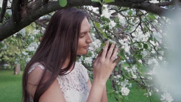 Κοντινό πλάνο πορτρέτο της μακριάς καστανής κυρίας με το όμορφο κομψό λευκό φόρεμα που στέκεται στον κήπο κοντά στην ανθισμένη μηλιά, μυρίζει άνθος. Ελκυστικό κορίτσι στον ανθισμένο κήπο την άνοιξη — Αρχείο Βίντεο