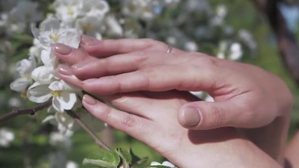 Mujer irreconocible manos suaves acariciando una mano con la otra cerca de flores de flor de manzano de primavera con hojas verdes en las palmas abiertas. Concepto de belleza, salud, frescura y naturalidad. De cerca. — Vídeo de stock