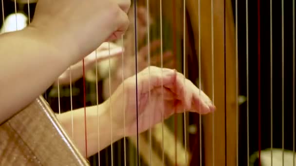 Musiker spelar harpa på konsert — Stockvideo