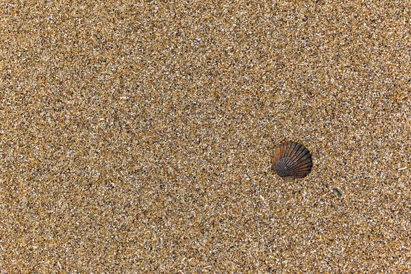 Makrostruktur von Sand am Strand — Stockfoto