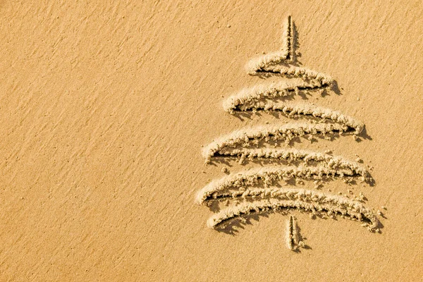 Images Christmas Tree Sand Beach Coastline Closeup — Stock Photo, Image