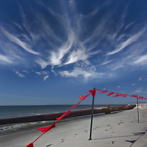 Ecology of the sea coast — Stock Photo, Image