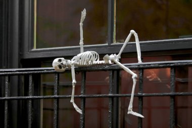 Cadılar Bayramı eşyaları ve sokak ve bahçelerde süslemeler..