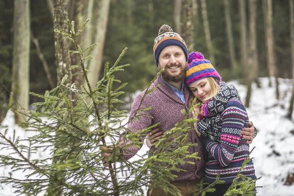 Jovem casal com uma árvore de Natal na floresta — Fotografia de Stock