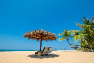 Plaj sandalyeleri, şemsiye ve avuçlar deniz kenarındaki kumlu sahilde. Phuket, Tayland 'da bir ada. Seyahat ilham verici, yaz tatili ve turizm için tatil kavramı