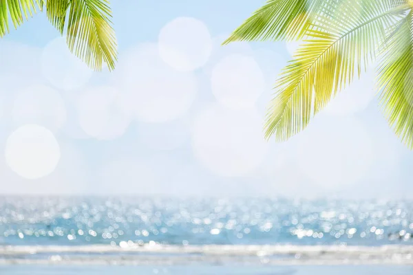 Абстрактний Морський Пейзаж Пальмою Тропічний Пляжний Фон Розмитий Боке Світло — стокове фото