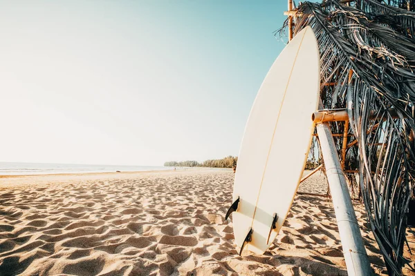 Surfbrett Strand Seelandschaft Des Sommerstrands Mit Meer Und Blauem Himmel — Stockfoto