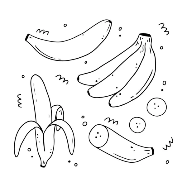 Sada ručně taženého banánového ovoce. Styl Doodle. — Stockový vektor