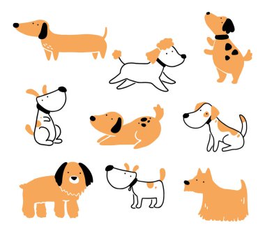 Şirin köpek yavrusu takımı..