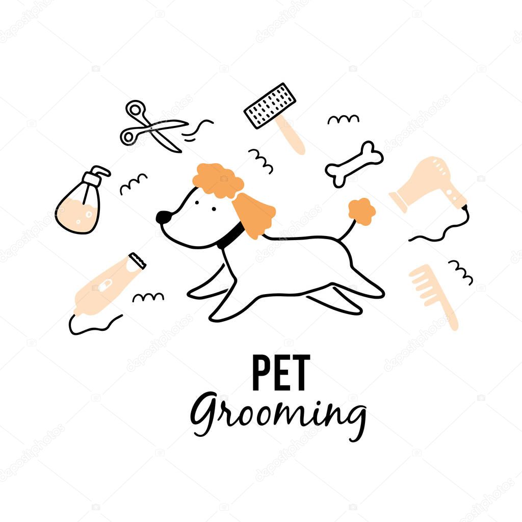 Cute puppy dog pet grooming.