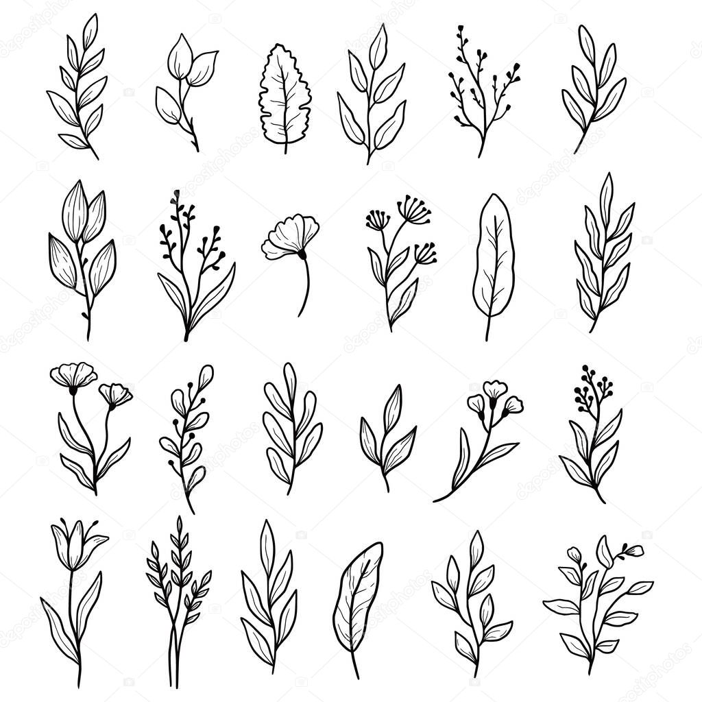 Hand drawn set of floral leaf, flower, branch