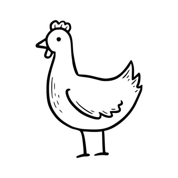 Pollo da fattoria disegnato a mano. Doodle. — Vettoriale Stock