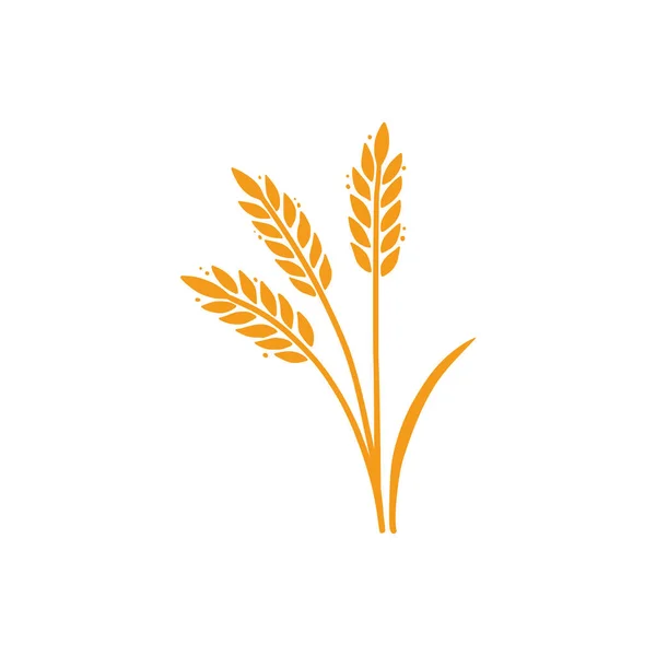 Wheat, barley, rice icon. Hand drawn — Stock Vector