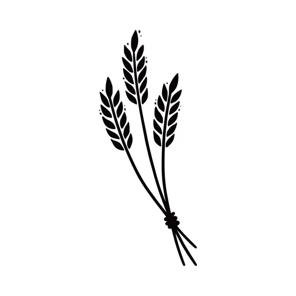 Пшеница, ячмень, рис. Рисунок — стоковый вектор