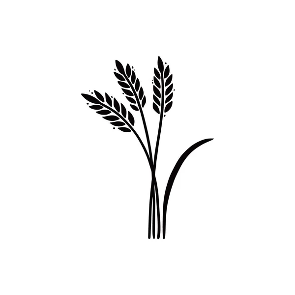 Wheat, barley, rice icon. Hand drawn — Stock Vector