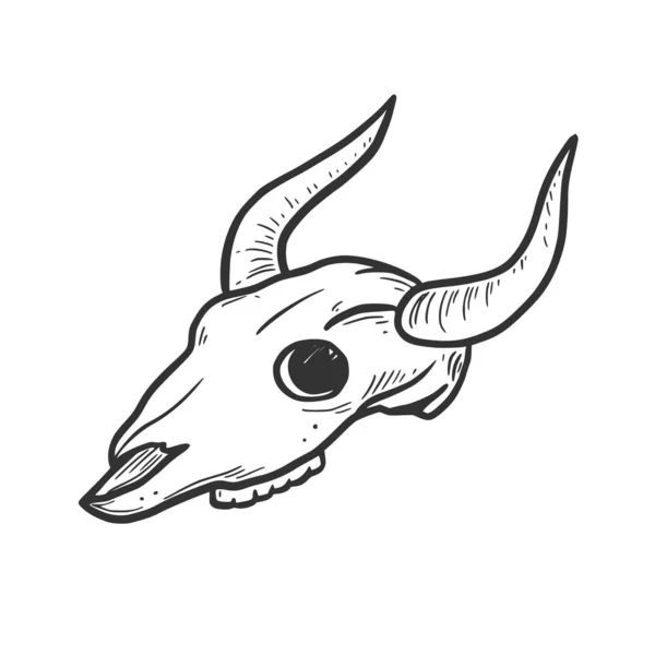 Ručně kreslená kráva, prvek býčí lebky — Stockový vektor