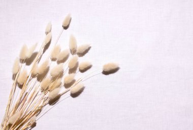 Beyaz çarşaf üzerinde kurumuş çiçekler. Boşluğu kopyala